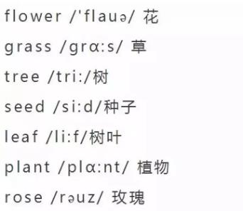 小学英语单词大全（分类附音标）收藏！每天晚上睡前,打开考20个插图25