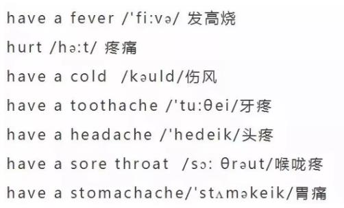 小学英语单词大全（分类附音标）收藏！每天晚上睡前,打开考20个插图29