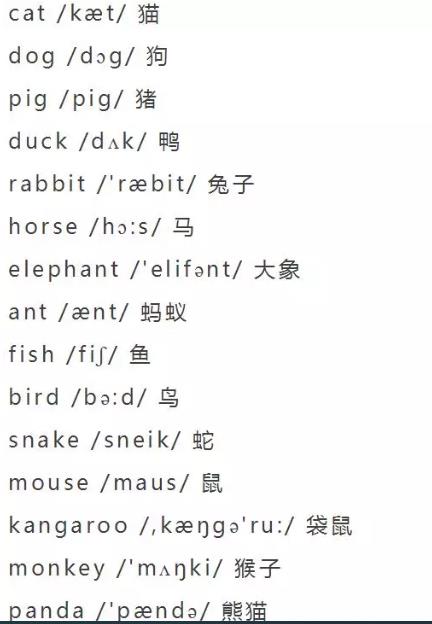小学英语单词大全（分类附音标）收藏！每天晚上睡前,打开考20个插图4