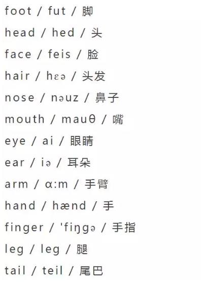 小学英语单词大全（分类附音标）收藏！每天晚上睡前,打开考20个插图2